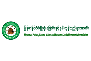 Myanmar Pulses, Beans, Maize